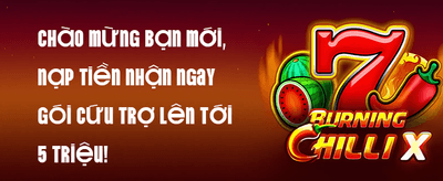 Ưu Đãi Nạp VIP
